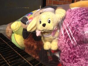 11249848_1622006451375581_2232829221534548338_n