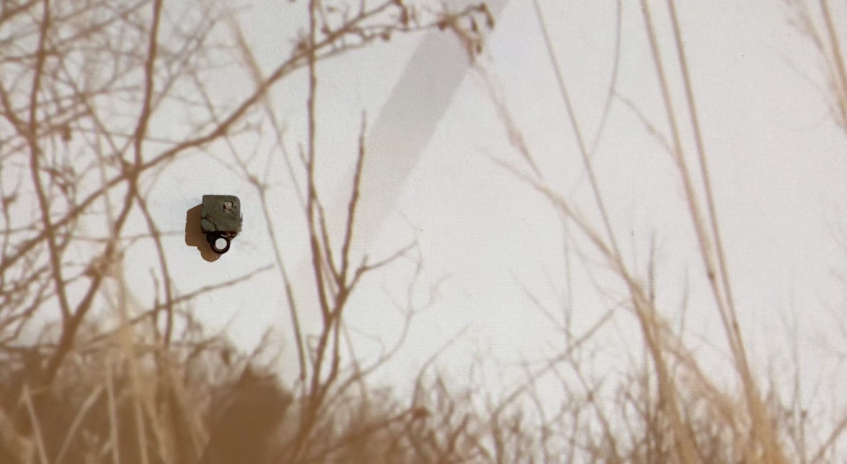 447012F6-EEC2-46D1-9B7E-8EA86D535866